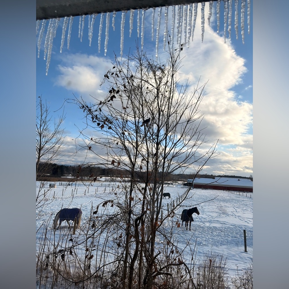 Meet your Posher, Clara